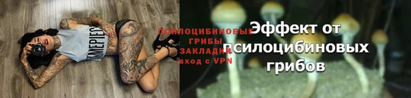 бошки Арсеньев