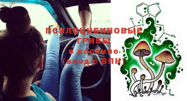 герыч Алексин