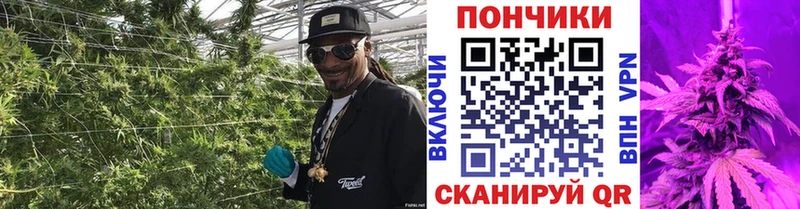 это официальный сайт Байкальск Каннабис план ссылка на мегу tor